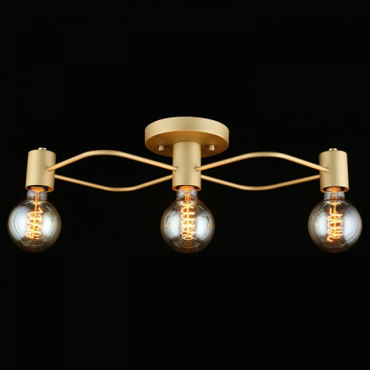 Потолочная люстра Aployt Elison APL.911.07.03