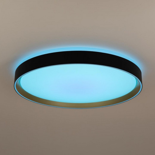 Накладной светильник Citilux BOSS CL751451G