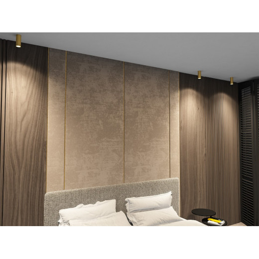 Накладной светильник Denkirs TUBE DK2051-SG