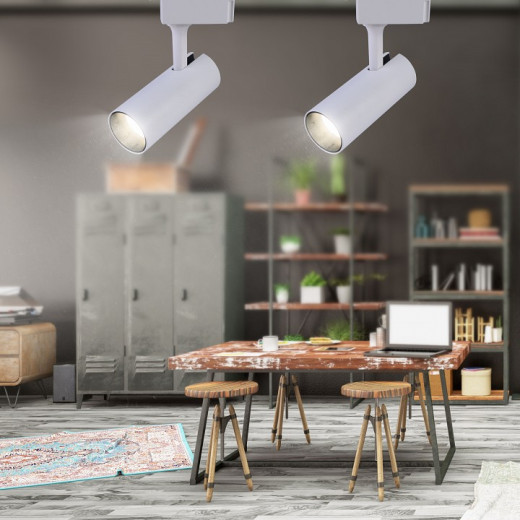 Светильник на штанге Эра  TR5-20 COB WH