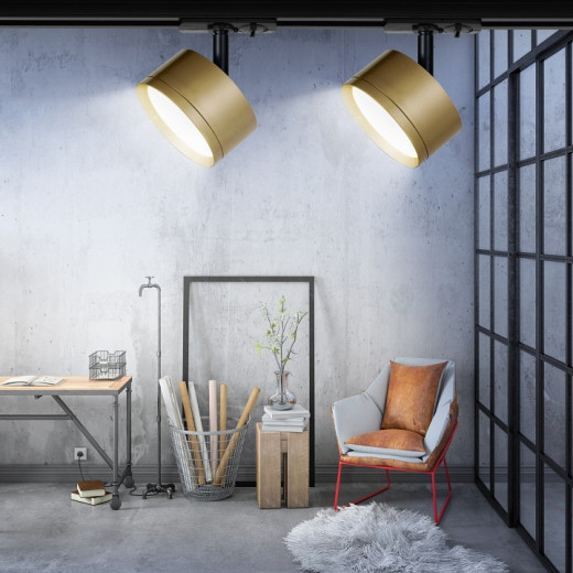 Светильник на штанге Эра  TR48 - GX53 MG