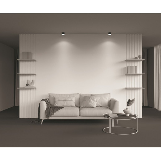 Накладной светильник Maytoni Pauline C087CL-GX53-B