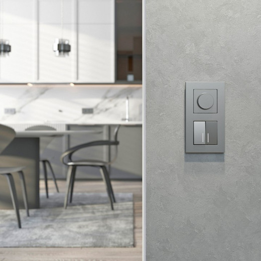 Диммер без рамки Werkel серебряный матовый W1142065