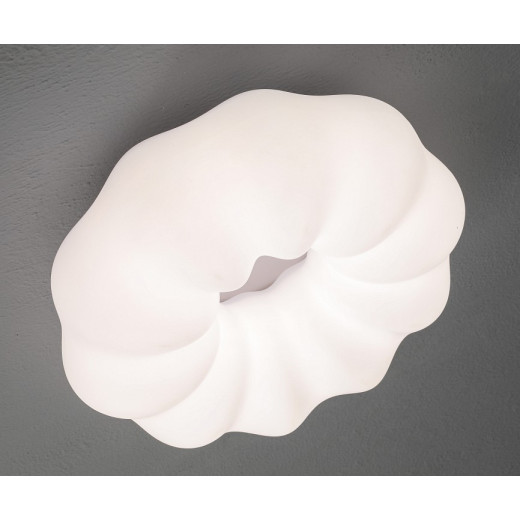 Накладной светильник Zortes Soft ZRS.1118.3