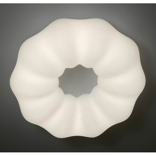 Накладной светильник Zortes Soft ZRS.1118.4