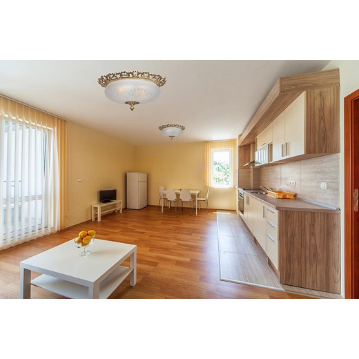 Накладной светильник Arti Lampadari Venezia Venezia E 1.13.46 G