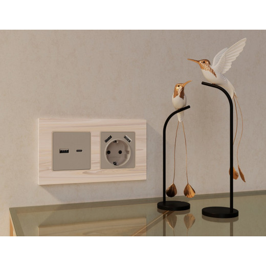 Накладка для розетки с заземлением и со шторками и 2хUSB type A Ambrella Volt Quant AP3690