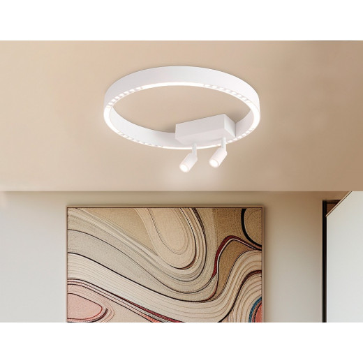 Накладной светильник Ambrella Light FL FL5805