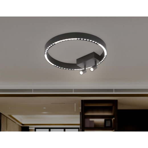 Накладной светильник Ambrella Light FL FL5806