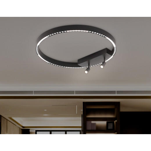 Накладной светильник Ambrella Light FL FL5808