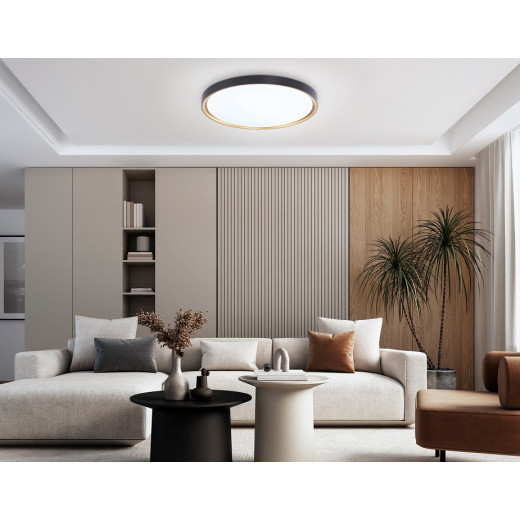 Накладной светильник Ambrella Light FZ FZ1249