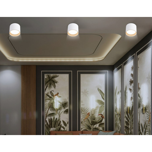 Накладной светильник Ambrella Light TN TN5304