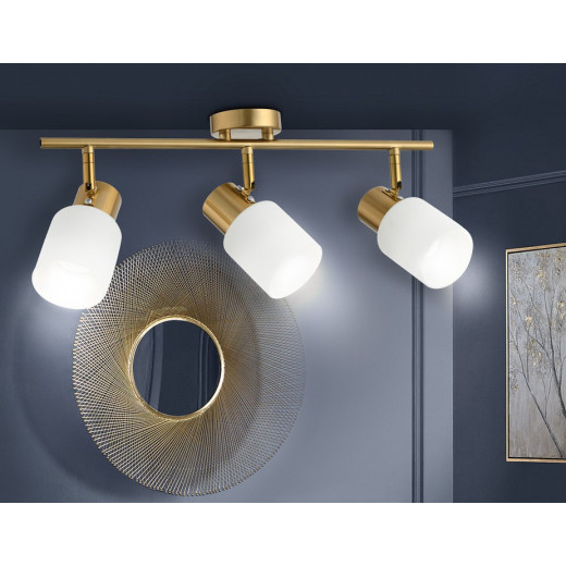 Спот Ambrella Light TR TR3972