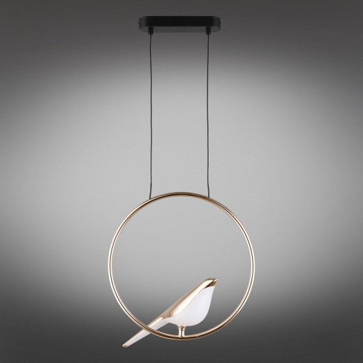 Подвесной светильник Aployt Astor APL.822.06.10