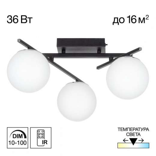 Потолочная люстра Citilux Dorsy CL223132