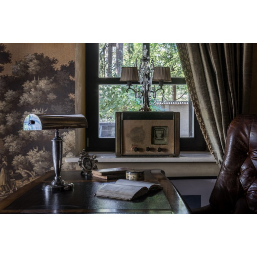 Настольная лампа офисная Covali  NL-51321