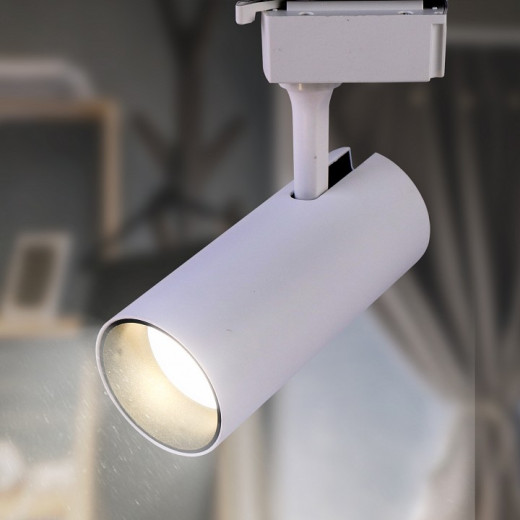 Светильник на штанге Эра  TR5-10 COB WH