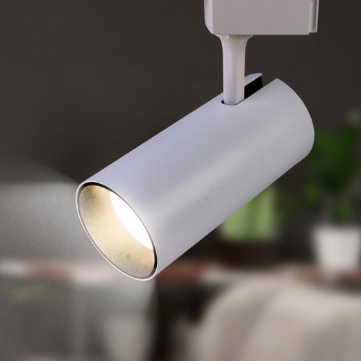 Светильник на штанге Эра  TR5-30 COB WH