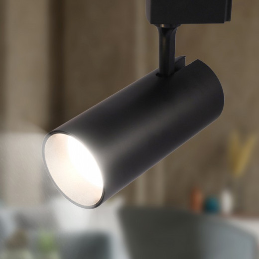 Светильник на штанге Эра  TR5-30 COB BK