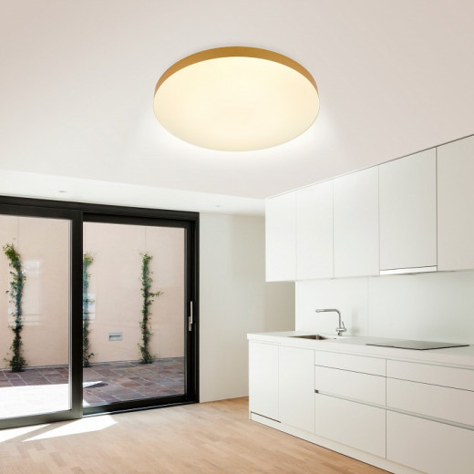 Накладной светильник Эра Relict Relict 48 Pult SPB-6-60-RC MG