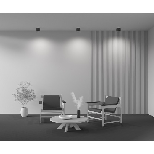 Накладной светильник Maytoni Planet C009CW-L16B