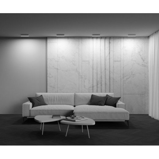 Накладной светильник Maytoni Basis C068CL-20W3-6K-W