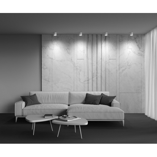 Накладной светильник Maytoni Polar C088CL-GX53-W