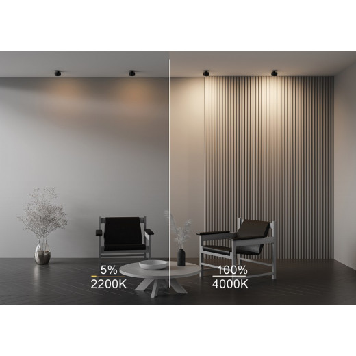 Встраиваемый светильник Maytoni Onda DL024-12W-DTW-B