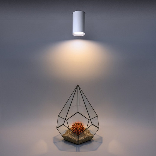 Накладной светильник Wolta BASIC WSL-GU10 WSL-GU10/01W