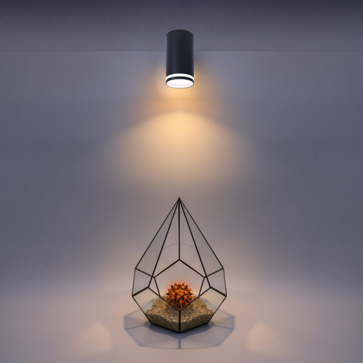 Накладной светильник Wolta MODERNO WSL-GU10 WSL-GU10/02BL