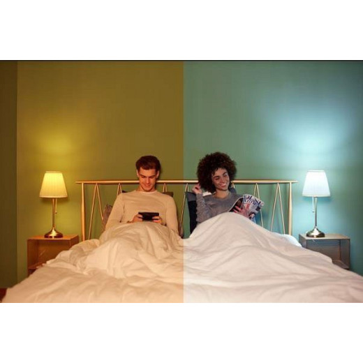 Лампа светодиодная Mi LED Smart Bulb Essential White and Color MJDPL01YL E27 220-240В 9Вт 1700-6500K X24994