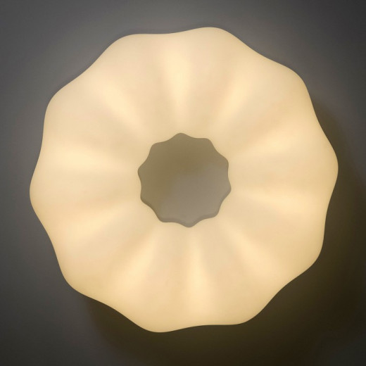 Накладной светильник Zortes Soft ZRS.1118.4