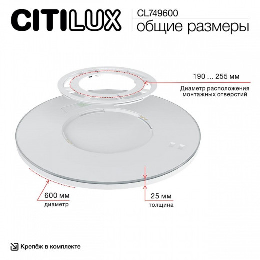 Накладной светильник Citilux NORMA CL749600