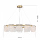 Подвесная люстра ST-Luce VOILE SL6021.203.66