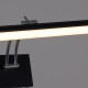 Подсветка для картины Reluce  08823-0.2-01L