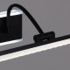 Подсветка для картины Reluce  08871-0.2-01L