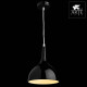 Подвесной светильник Arte Lamp Pendants 2 A9077SP-1BK