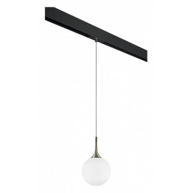 Подвесной светильник Lightstar Globo PRO813021
