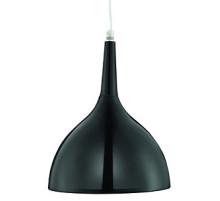 Подвесной светильник Arte Lamp Pendants 2 A9077SP-1BK