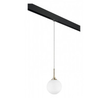 Подвесной светильник Lightstar Globo PRO813023