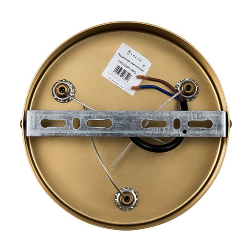Подвесной светильник Freya Magnet FR6106PL-L13B