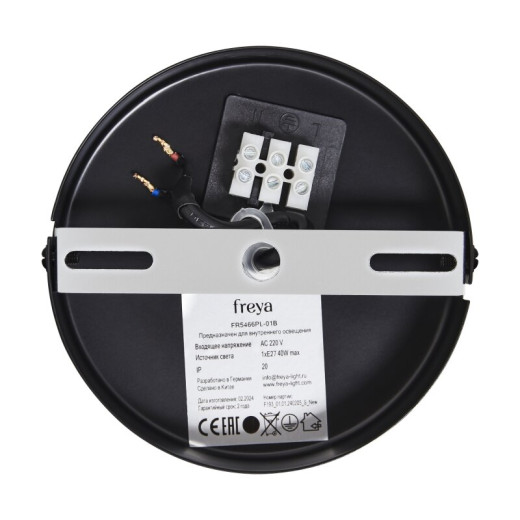 Подвесной светильник Freya Enface FR5466PL-01B