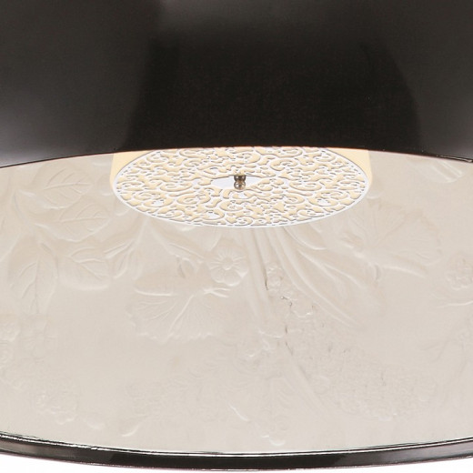 Подвесной светильник Arte Lamp Rome A4176SP-1BK