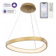 Подвесной светильник Citilux GENKA SMART CL756A042