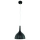 Подвесной светильник Arte Lamp Pendants 2 A9077SP-1BK