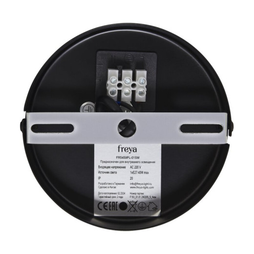 Подвесной светильник Freya Cosmic FR5457PL-01G