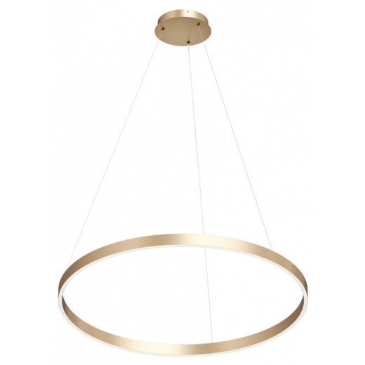 Подвесной светильник Denkirs RAYDIA DK6272-SG