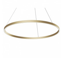 Подвесной светильник Maytoni Rim MOD058PL-L54BSK