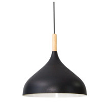 Подвесной светильник Arte Lamp KAYLA A7101SP-1BK