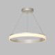 Подвесной светильник Denkirs RING DK6670-SN
